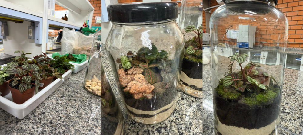 Design sem nome (51).png