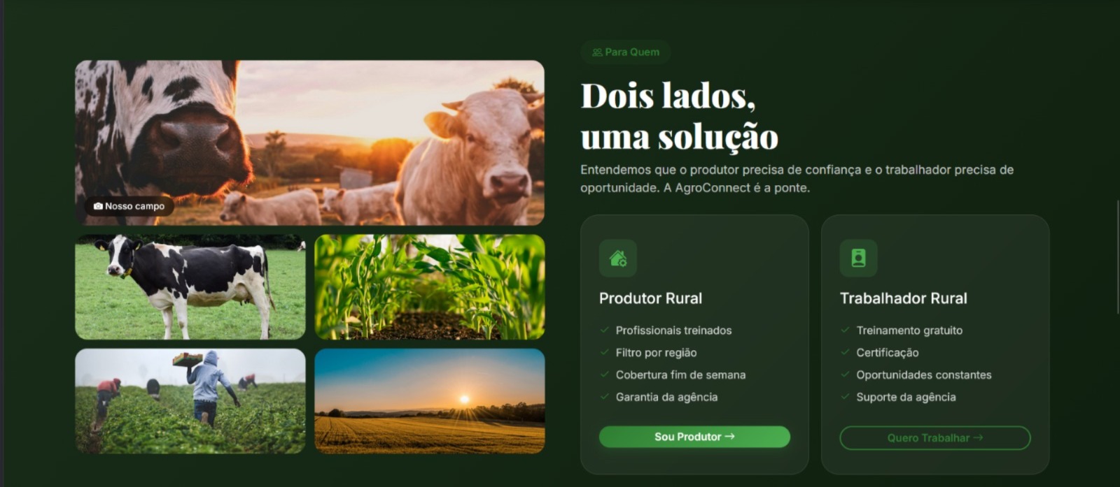 WhatsApp Image 2026 04 28 at 19.26.06