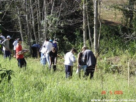album 1184 foto 6765d20af06a434